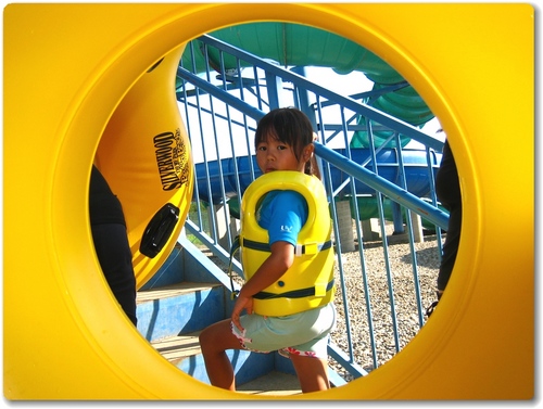 けものフレンズ シナウスイロイルカ　コースター ウッドコースター けものフレンズ シナウスイロイルカ コースター ウッド