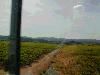 158_thumb.png