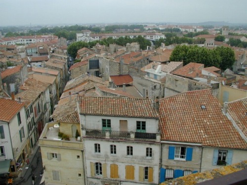 183.jpg