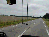 194_thumb.png