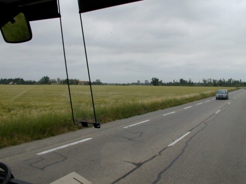 195.jpg