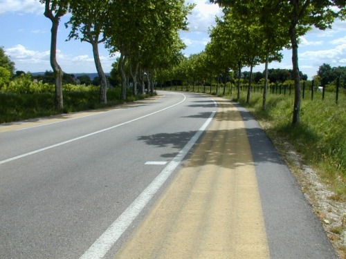209.jpg