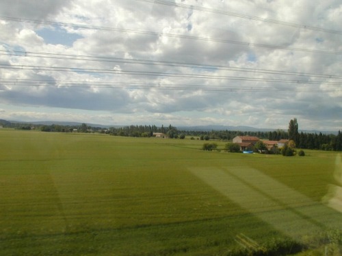 215.jpg