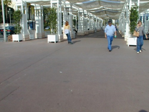 153.jpg
