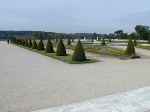 105.jpg