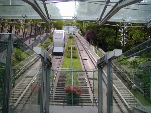 117.jpg